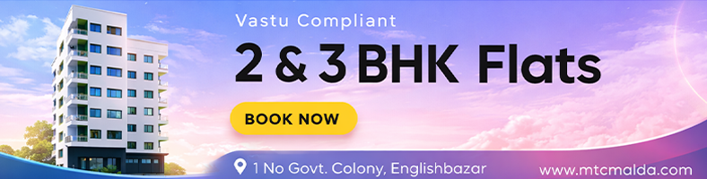 Cognition Venture - Web Development Solutions