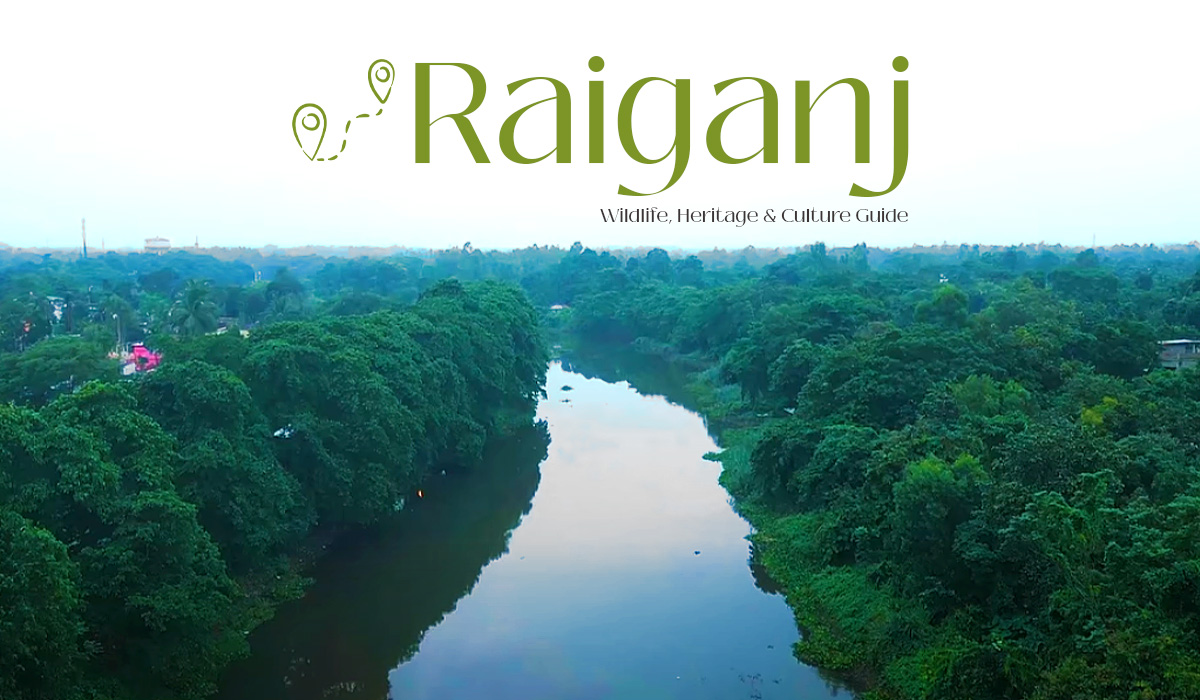 Raiganj Tourism: Wildlife, Heritage & Culture Guide