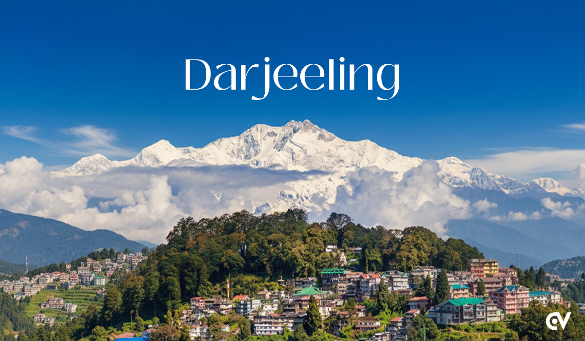 SEO in Darjeeling: Boost Local Business Growth