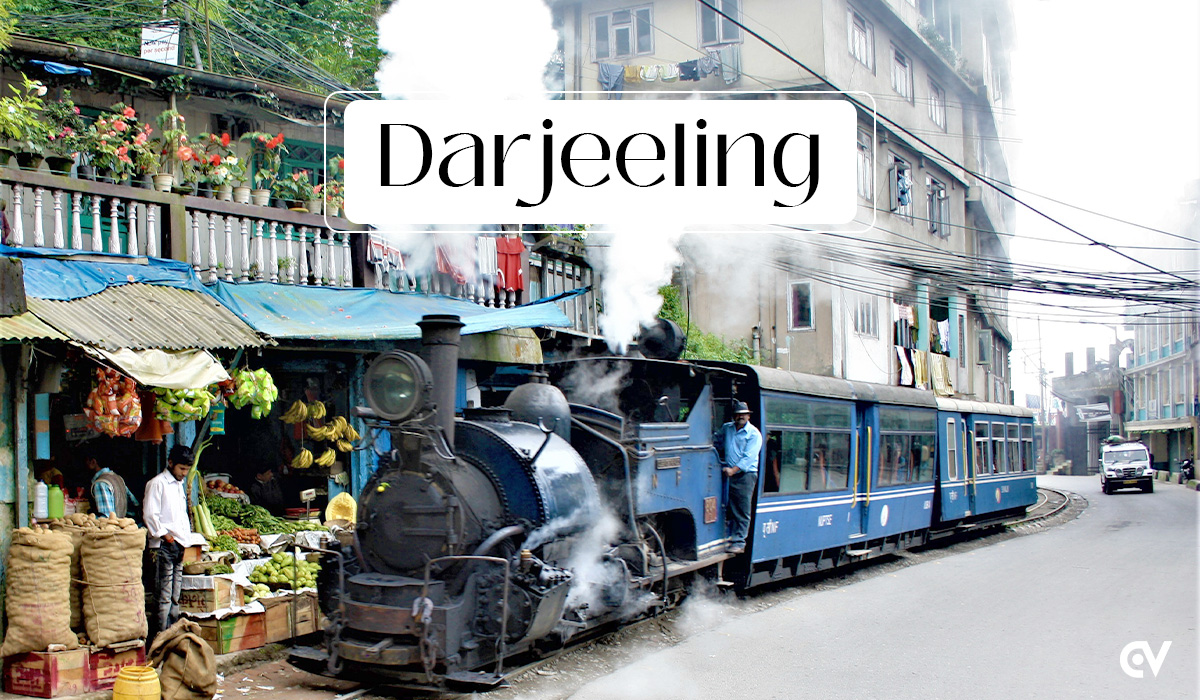 Digital Marketing in Darjeeling: Grow Your Local Reach