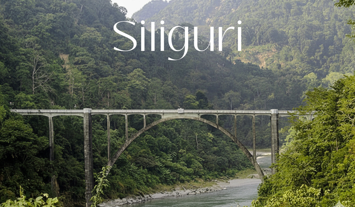 Best Google & Facebook Ads Company in Siliguri