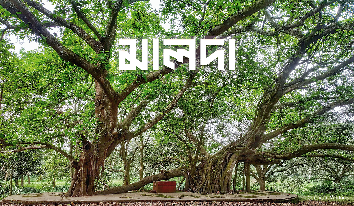 Malda Town in West Bengal | Strategic Location & Importance